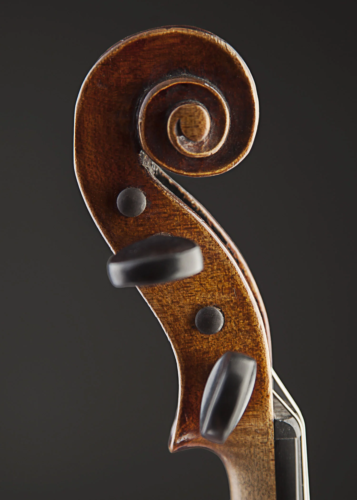 ツィター Anton Kiendl WEIN ツィター Anton Kiendl WEIN ツィター Anton Kiendl WEIN Zither